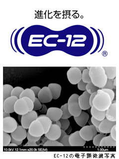 EC-12イメージ